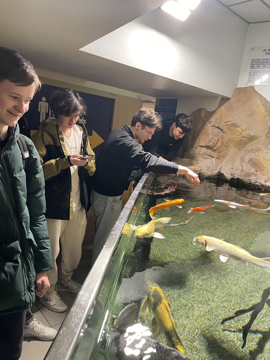 Haus des Meeres field trip