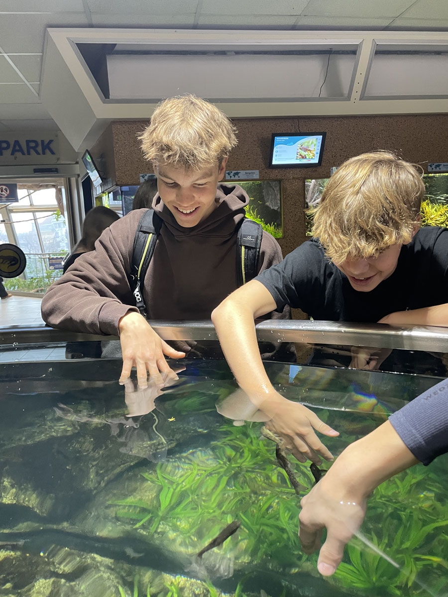 Haus des Meeres field trip