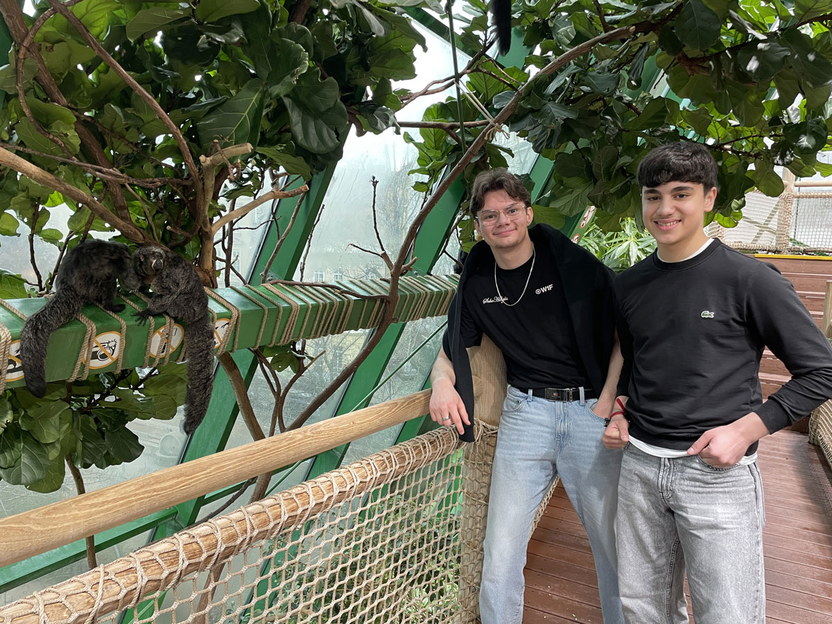 Haus des Meeres field trip