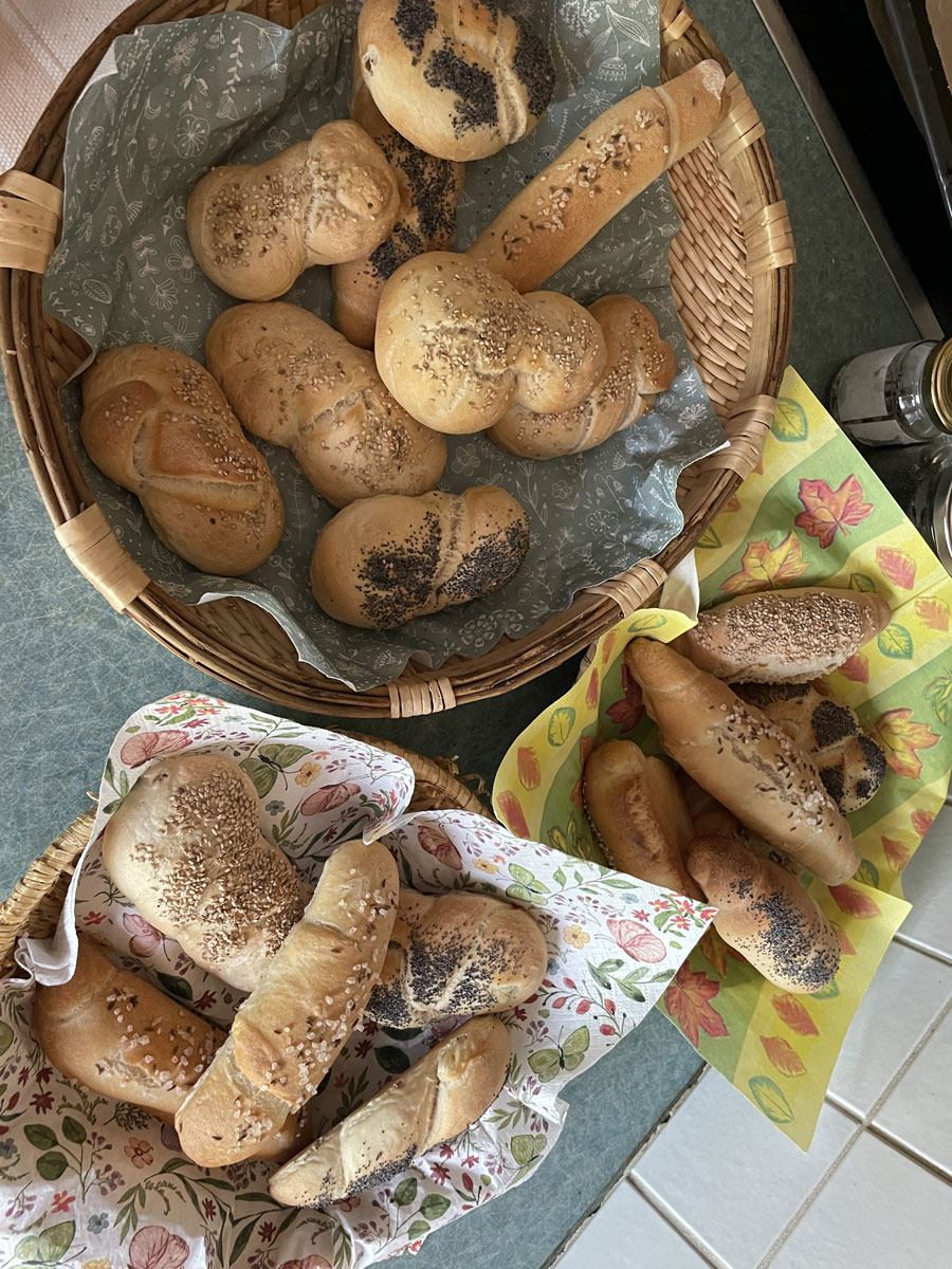 Future Day meadow ecosystem activity