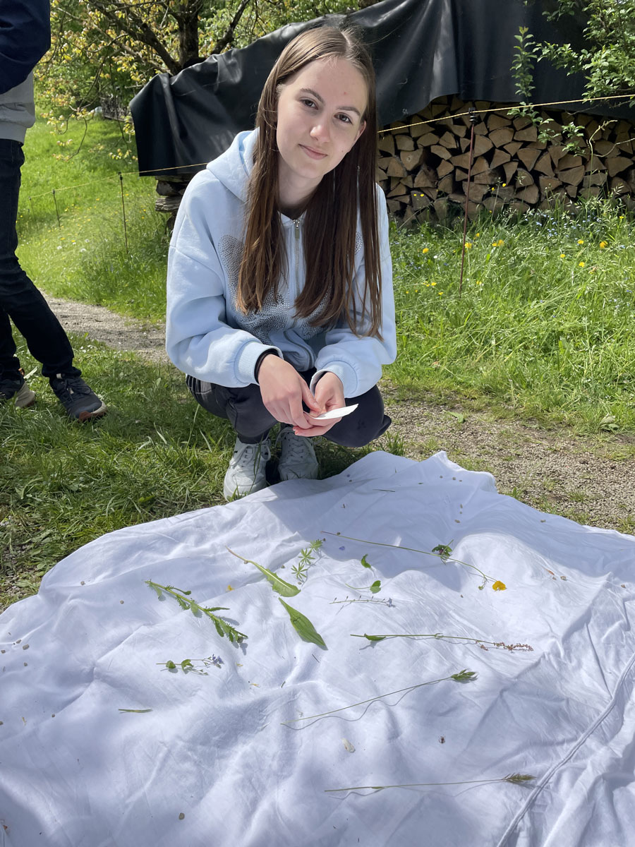 Future Day meadow ecosystem activity