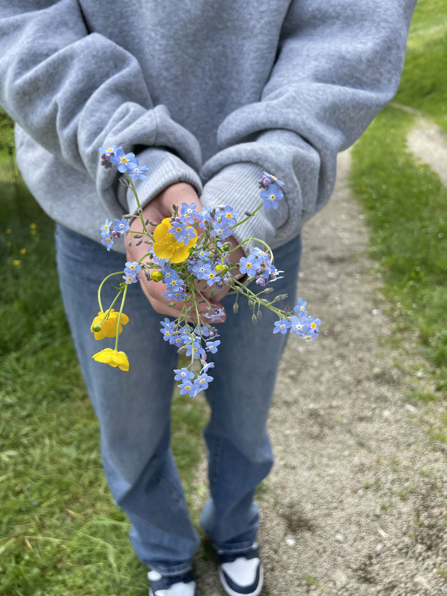 Future Day meadow ecosystem activity