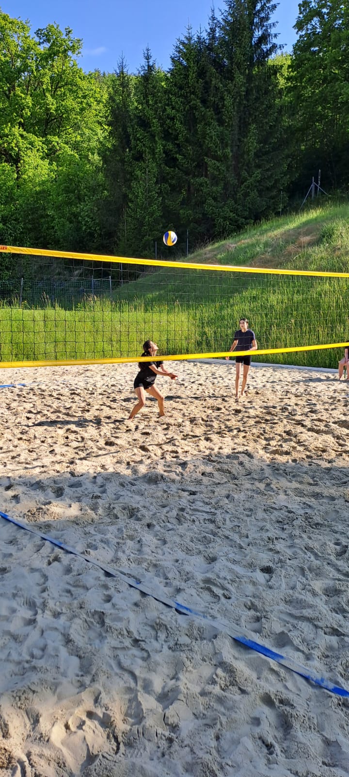 Volleyball tournament participants