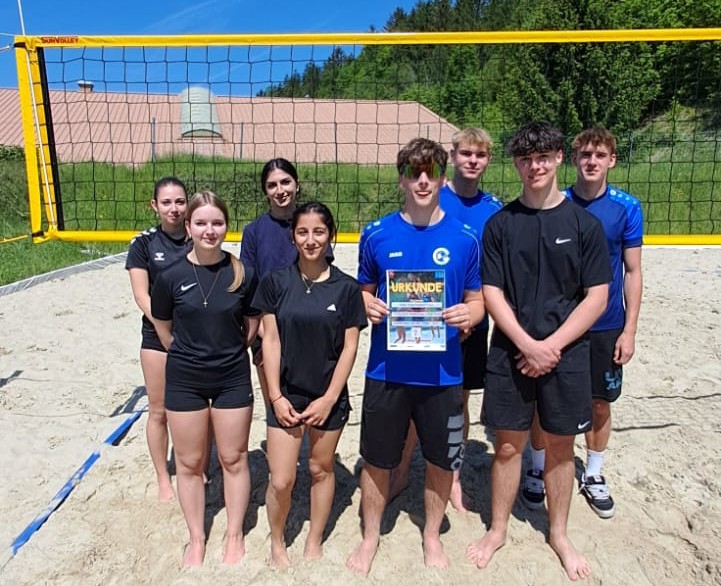 Volleyball tournament participants