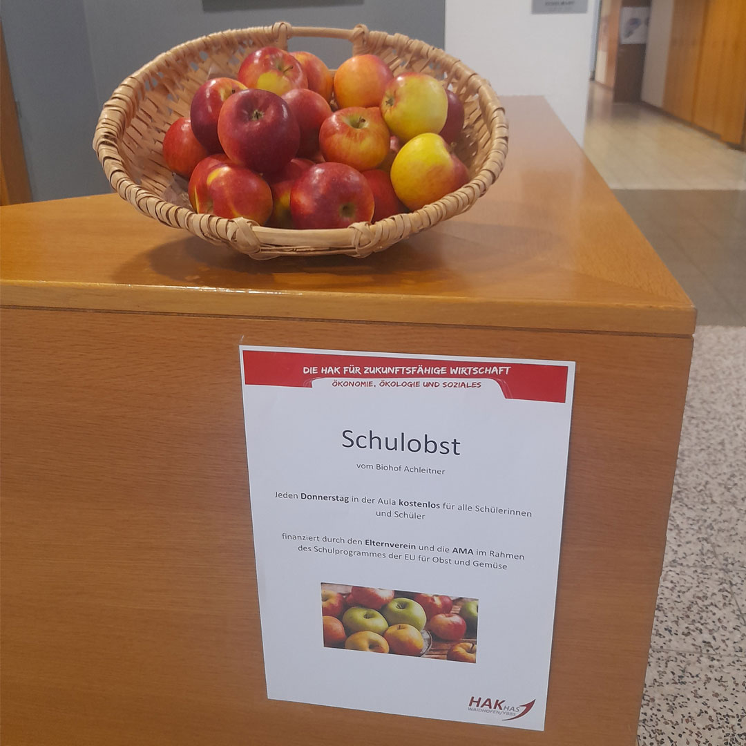 Die Schlaue Kiste