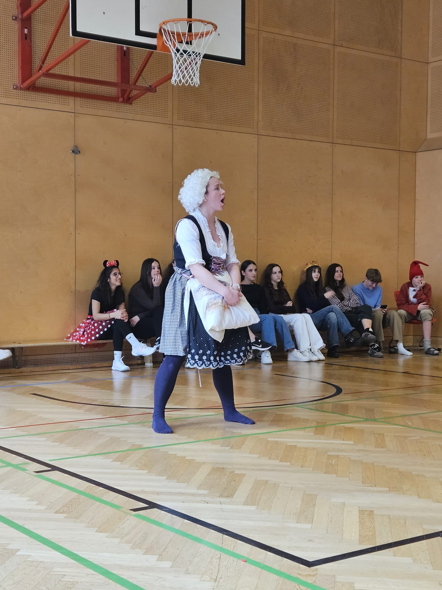 Fasching celebration photo 9