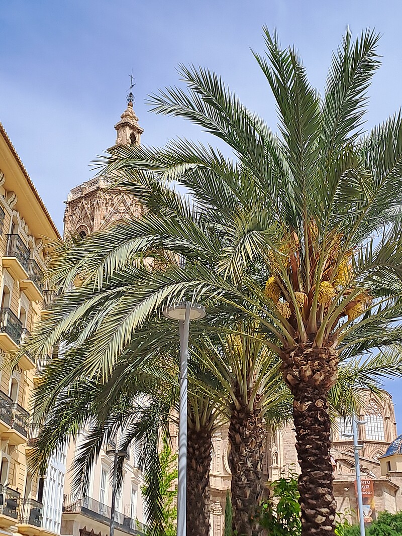 Sprachreise Alicante