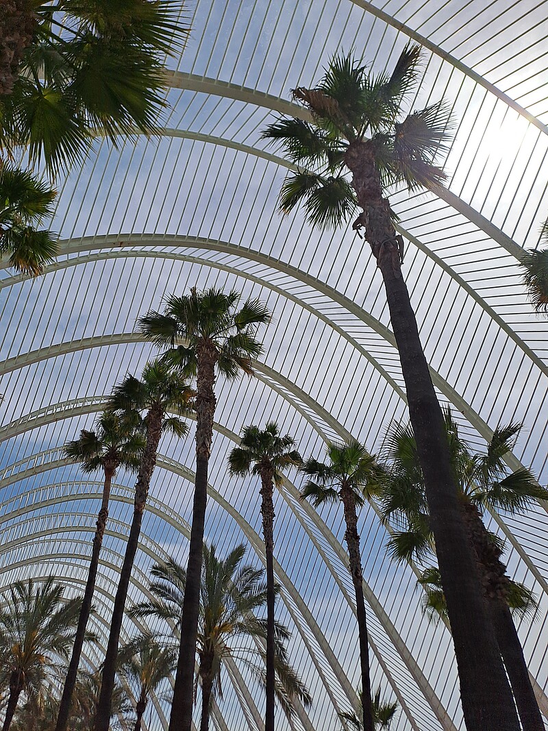 Sprachreise Alicante
