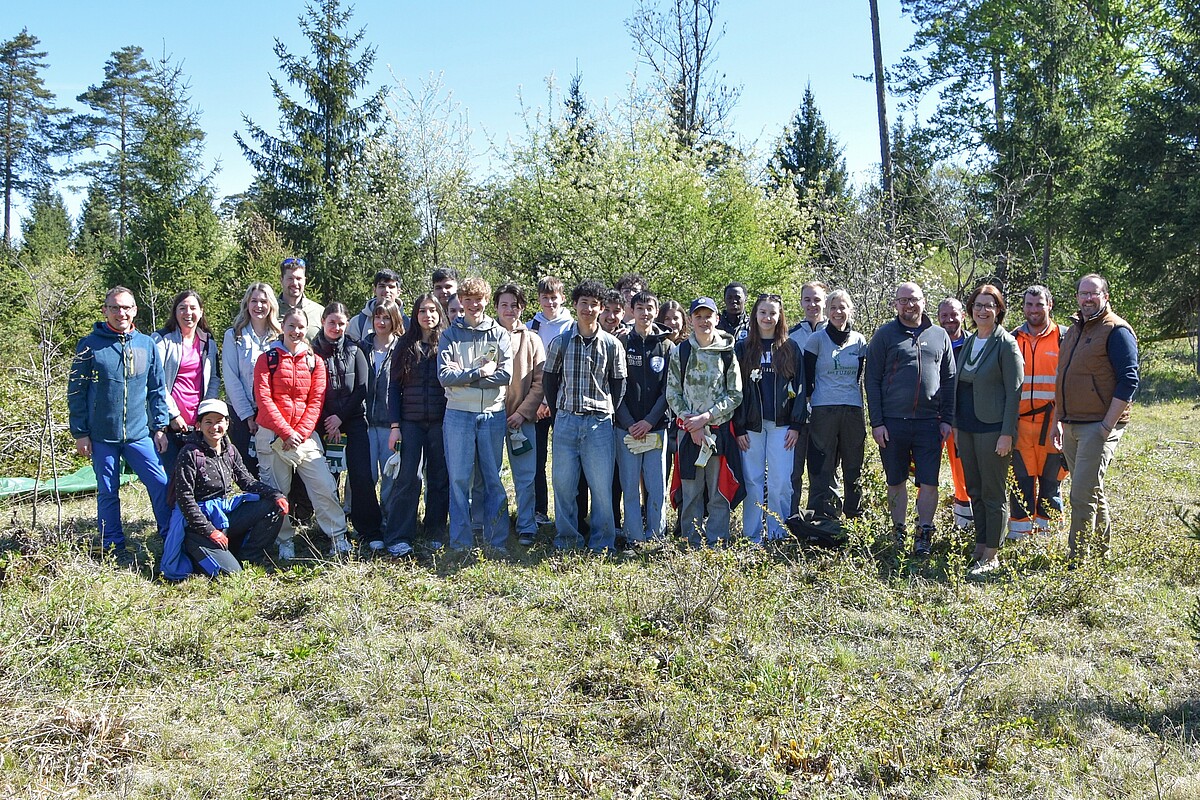 Dry grassland care 2026