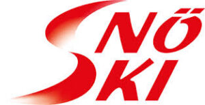 Logo NÖ Ski