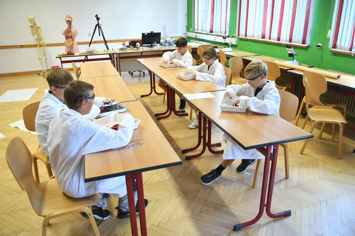 Jugendliche in Laborkitteln untersuchen Organe im Biologiesaal